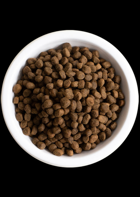 Open Farm Farmer's Table Pork & Ancient Grains Dry Dog Food 22lb - Poudre Pet and Feed Supply